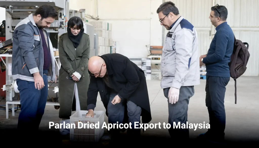 Parlan Dried Apricot Export to Malaysia