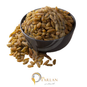 کشمش سبز قلمی گالری ۱