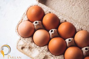 What Are Vegan Eggs 850x500px 1