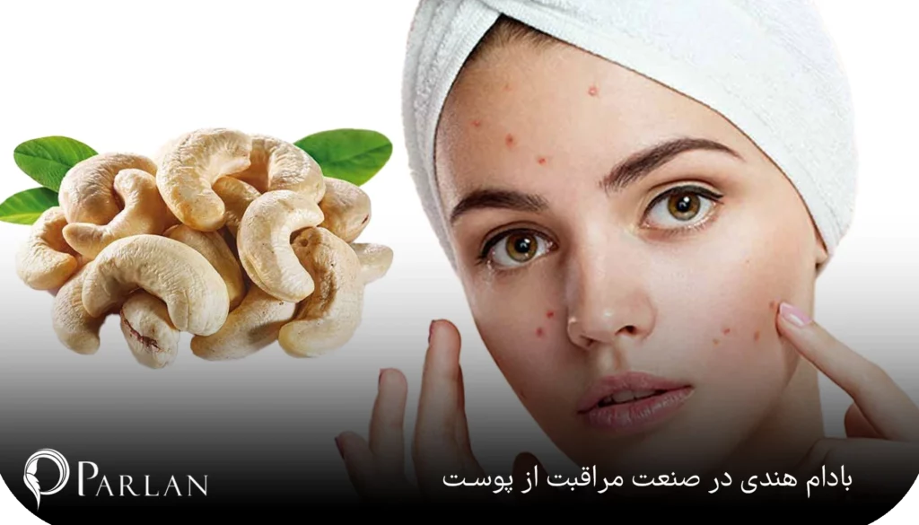 کاربرد بادام هندی در صنعت مراقبت از پوست