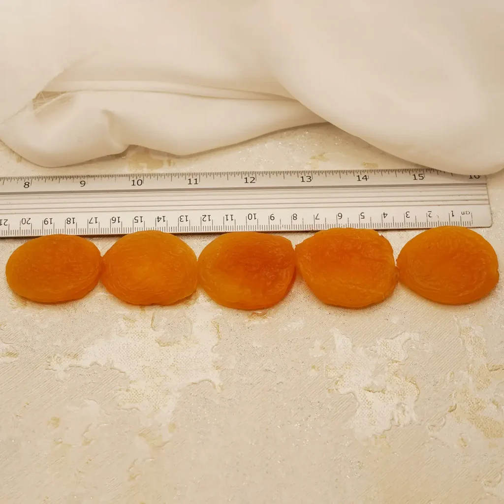 Parlangroup en Dried Apricots grade1