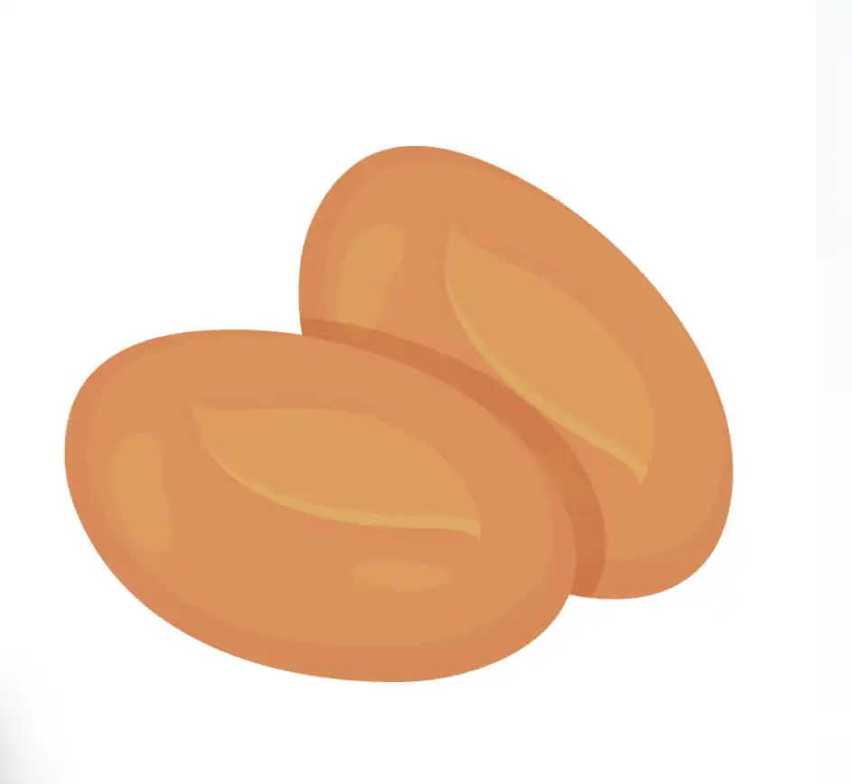 dried apricots icons