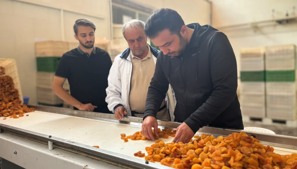 بازدید مشتری ترکیهای از کارخانه پارلان
