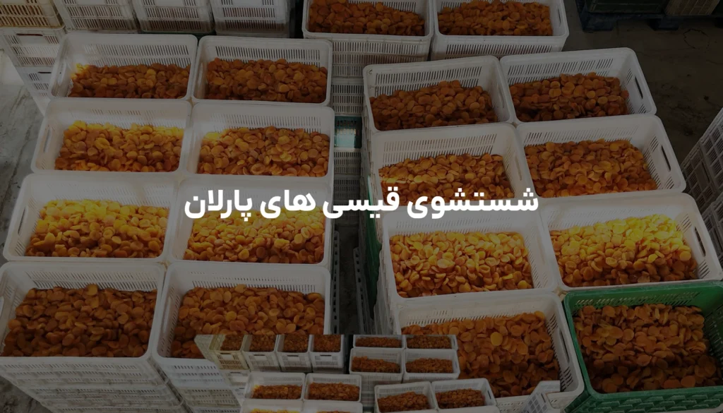 قیسیها در کارخانه پارلان با نهایت دقت و رعایت کامل اصول بهداشتی، توسط دستگاههای پیشرفته و مخصوص، شستوشو میشوند. این فرآیند بهگونهای طراحی شده است که علاوه بر حفظ کیفیت و طعم طبیعی قیسی، هرگونه آلودگی و ناخالصی از آنها حذف شود تا محصولی سالم، تمیز و آماده مصرف به دست مشتری برسد.