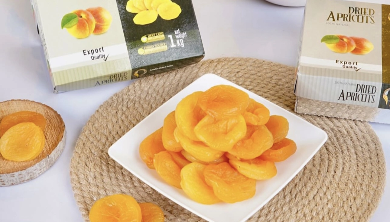 بزرگترین نوع قیسی با ظاهر طلایی و گوشتی