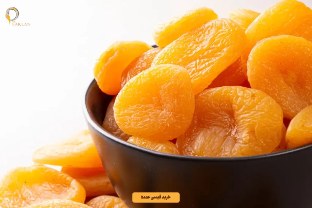 خرید قیسی عمده